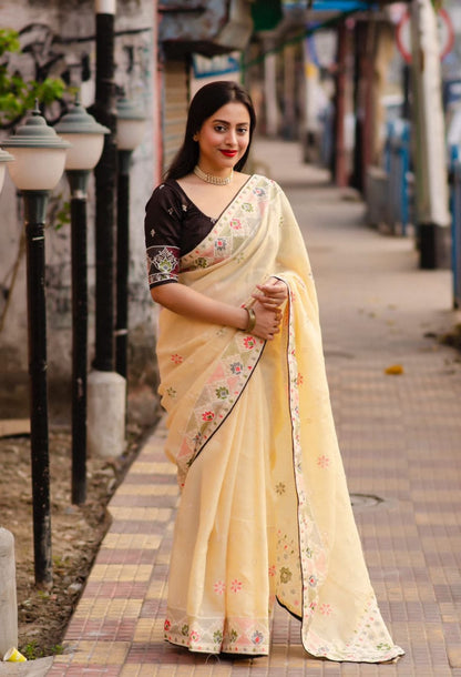 Soft Linen Saree With White and Multi Thread Embroidery Work