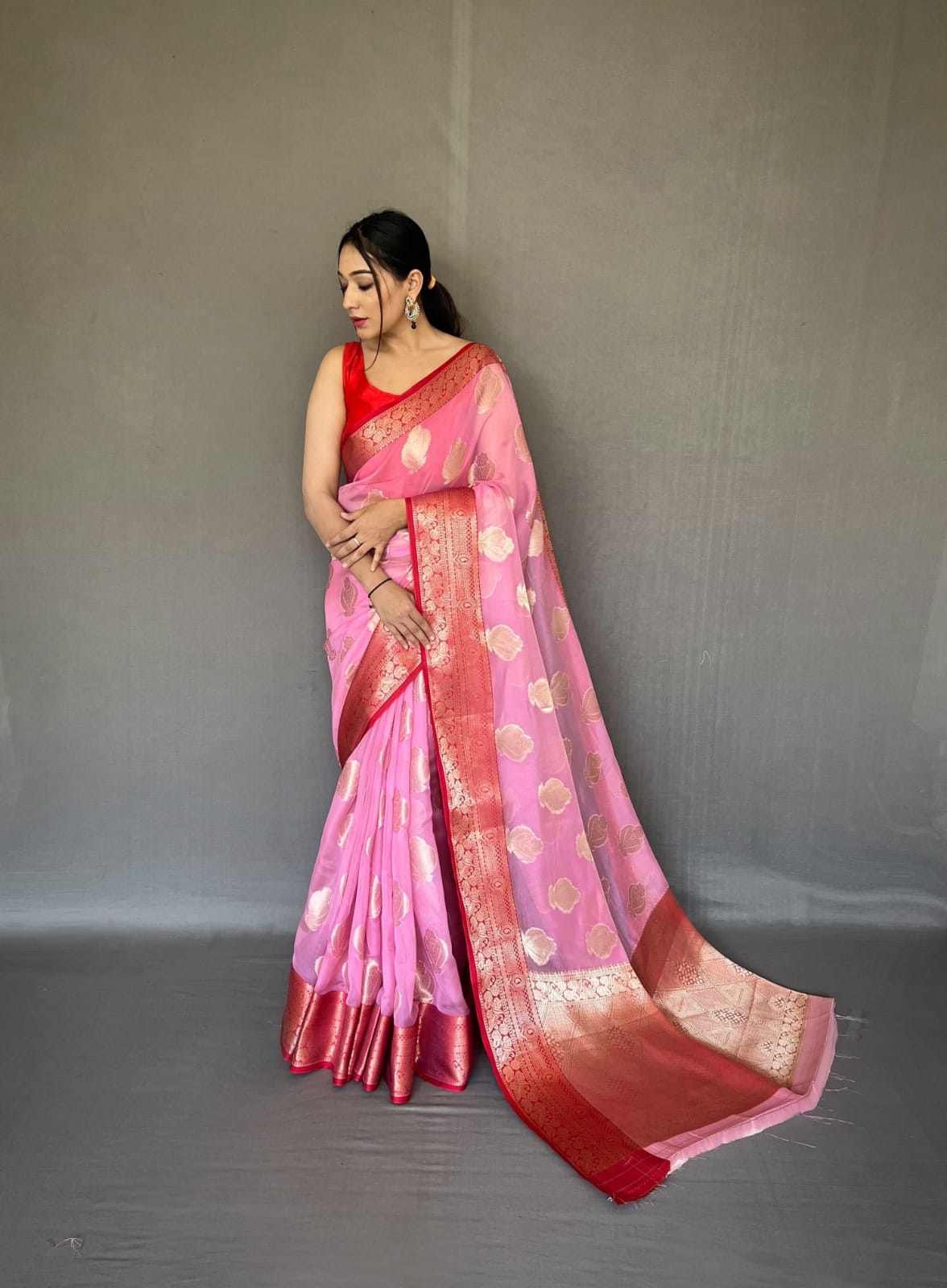 Georgette Saree With Foil Print and Prizyam Work