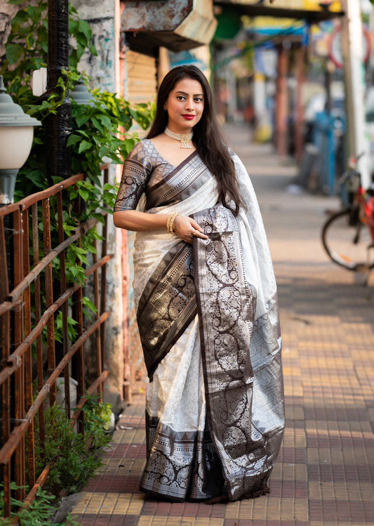 Greyish Brown Soft Banarasi Silk Saree