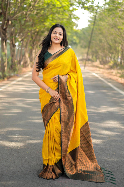 Soft Silk Kubera Pattu Saree With Jacquard Border