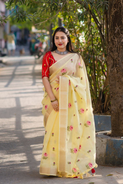 Soft Linen Saree With Embroidery and Designer Blouse