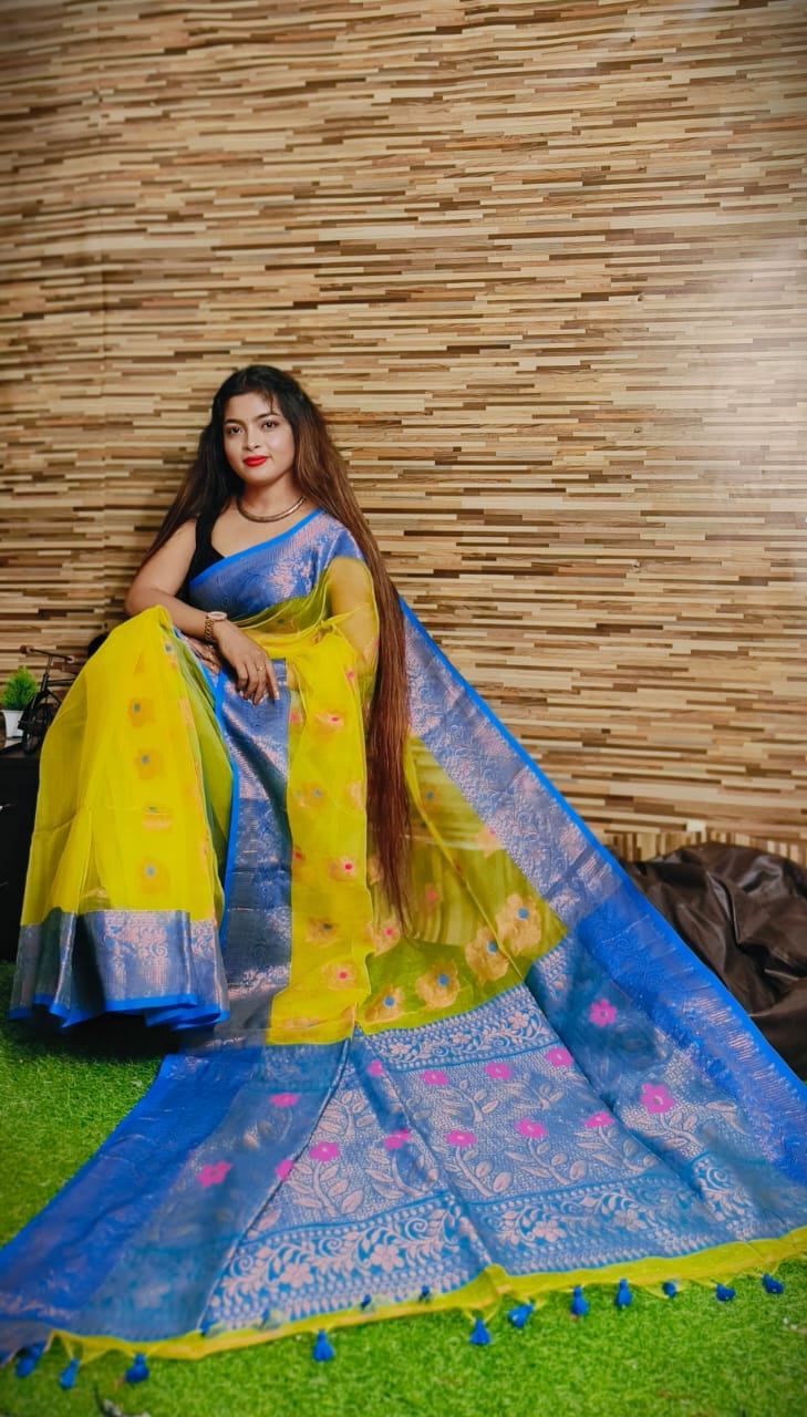 Reshom Banarasi Silk Saree