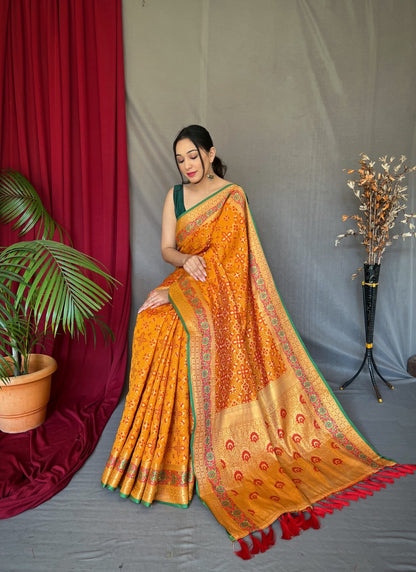 Patola Silk Saree With Contrast Meenakari Work