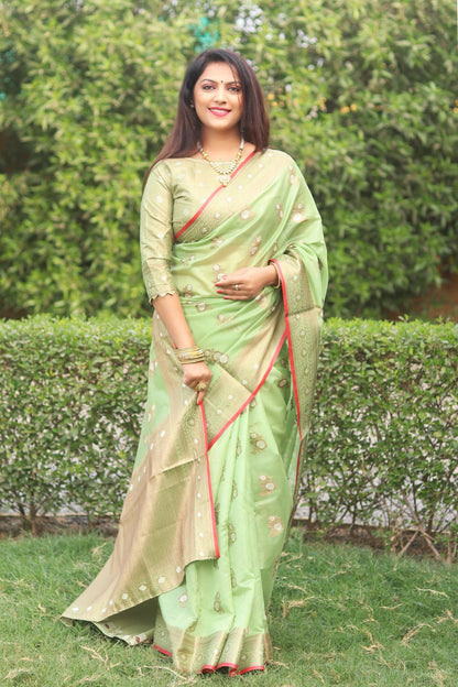 Organza Silk Saree With Light Gold and Silver Zari Weaving